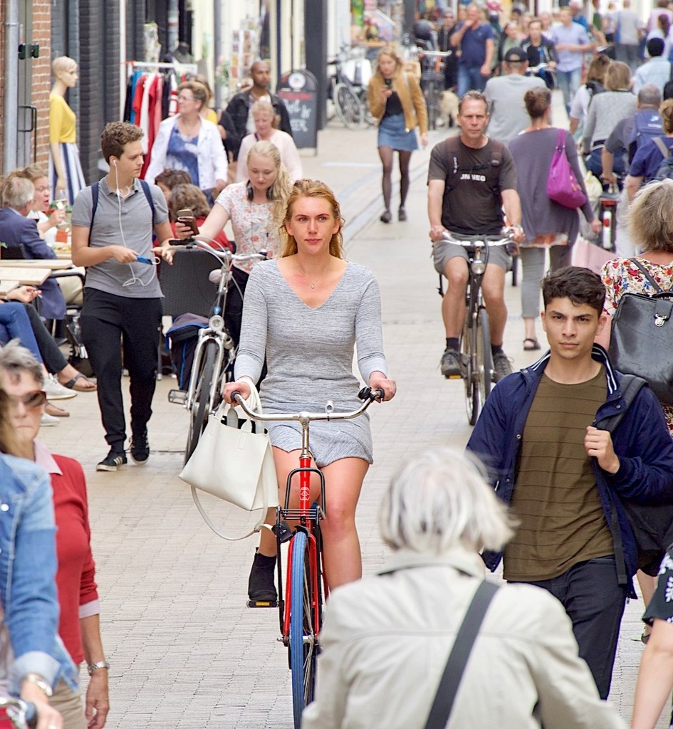 Из открытых источников в интернете. Нидерланды.