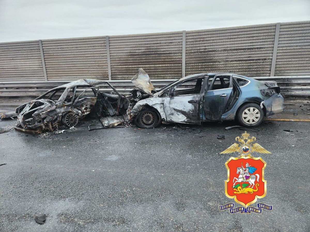     / Источник: © Telegram/Подмосковная полиция