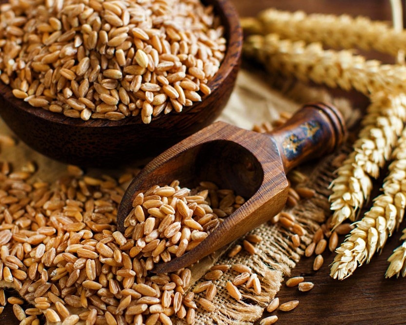 Полба. Изображение взято из открытых источников.