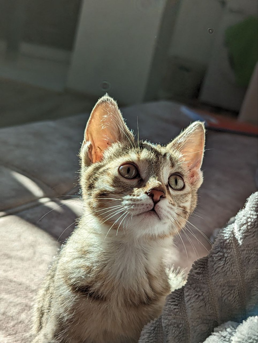 Маленький Кузя