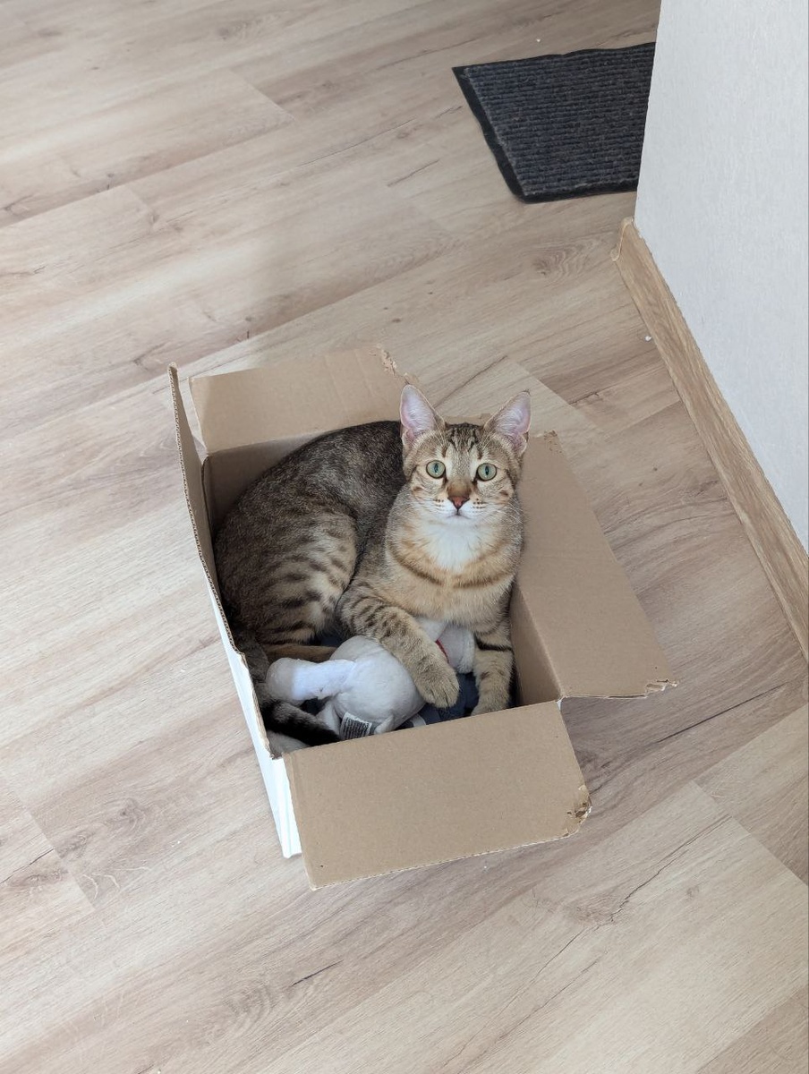 Взрослый Кузя