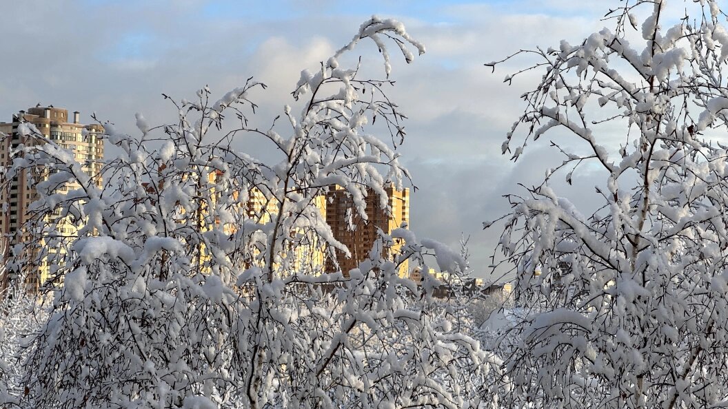    Alexander Legky/Globallookpress