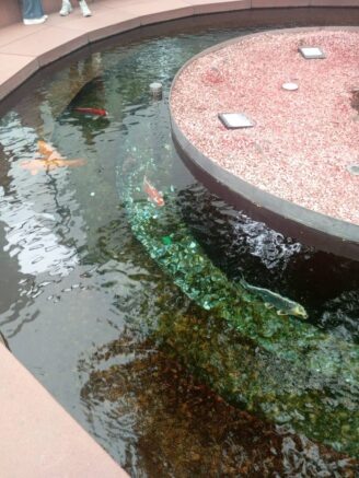    Пруд с карпами в парке «Краснодар». Фото: t.me/park_galitskogo