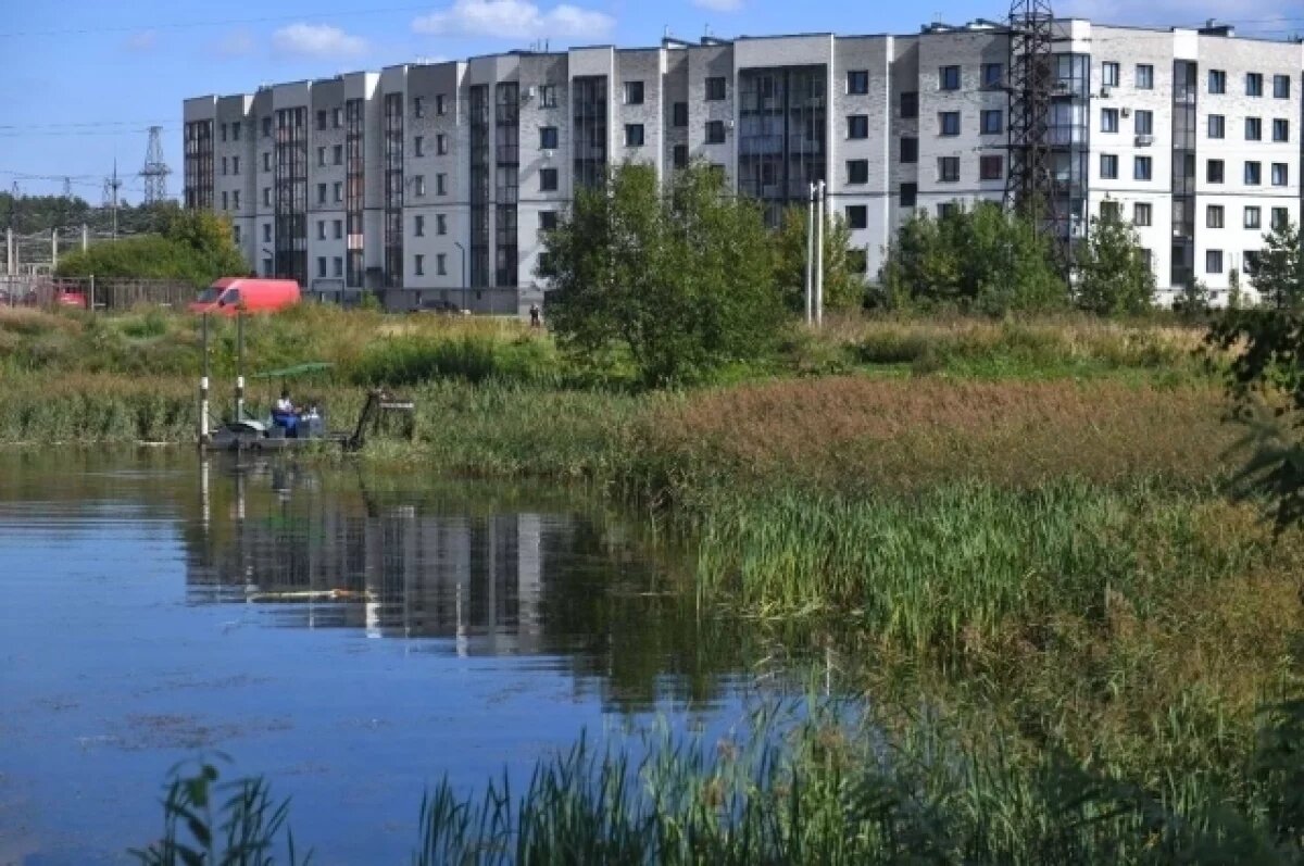    В Ярославле не хватило средств на очистку пруда в Заволжском районе