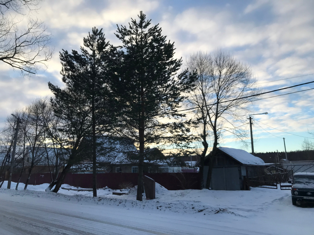 03 января 2025 15:14