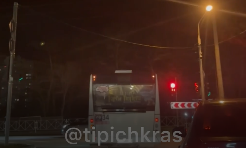    Скриншот видео t.me/gibdd123region