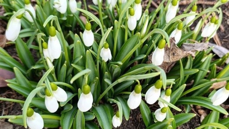      Фото: администрация Пятигорска