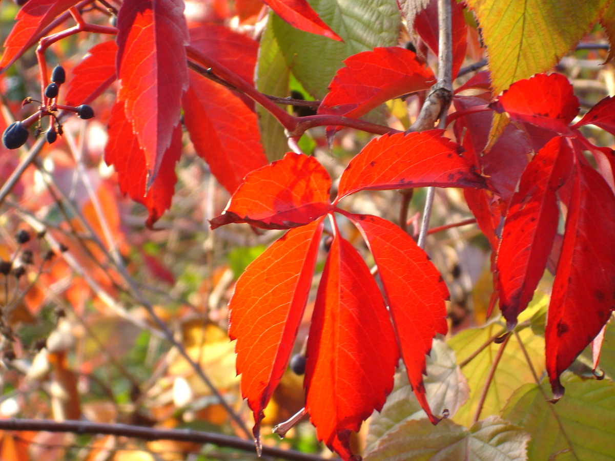 листайте галерею