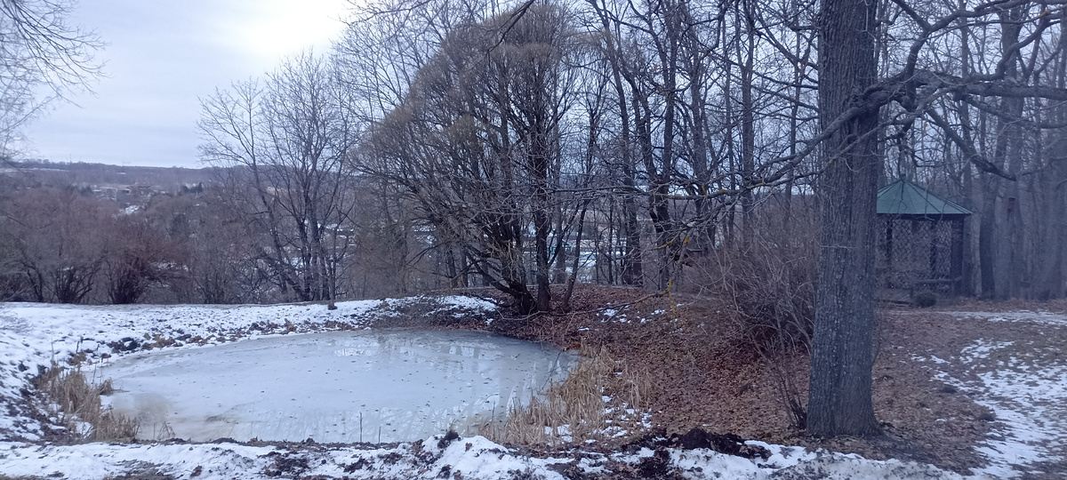 Пруд в усадьбе