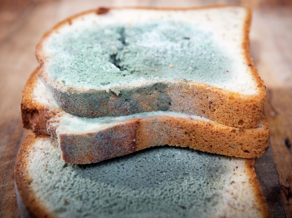    Плесень на хлебе© Depositphotos.com / THPStock