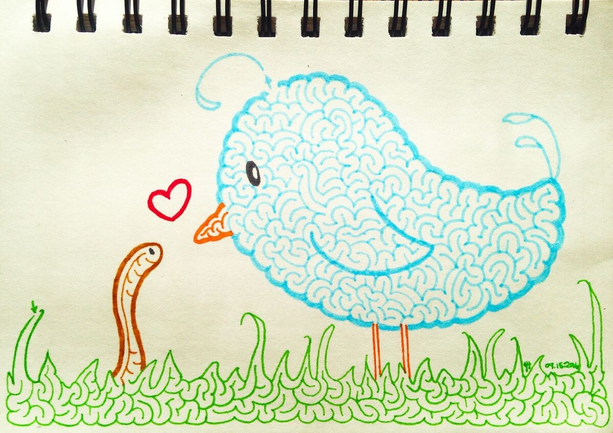 Головоломка-лабиринт ©Heather Hoesl