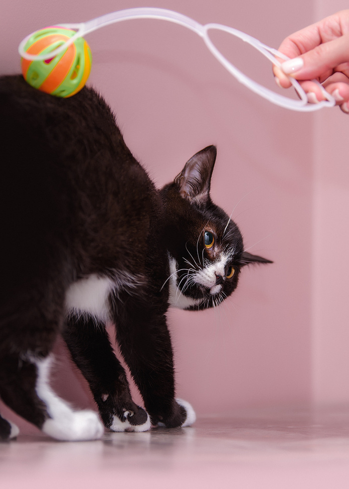 Листайте вправо, чтобы увидеть больше изображений