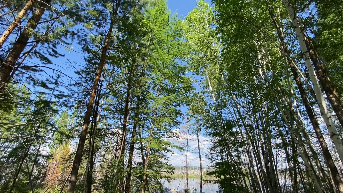 Погода радовала нас.