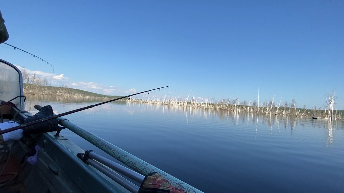 В ожидании поклевки.