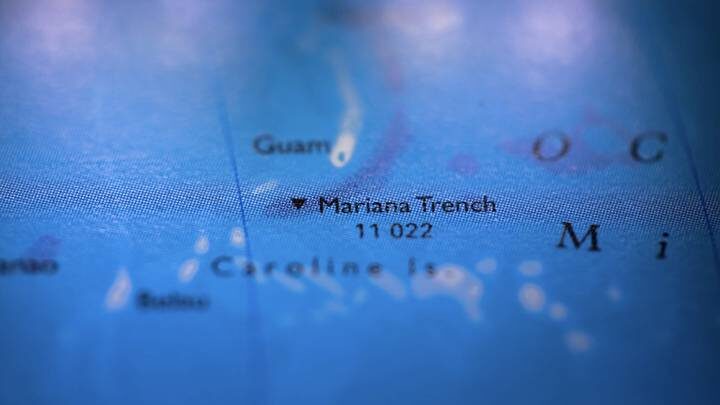  Фото: Shutterstock