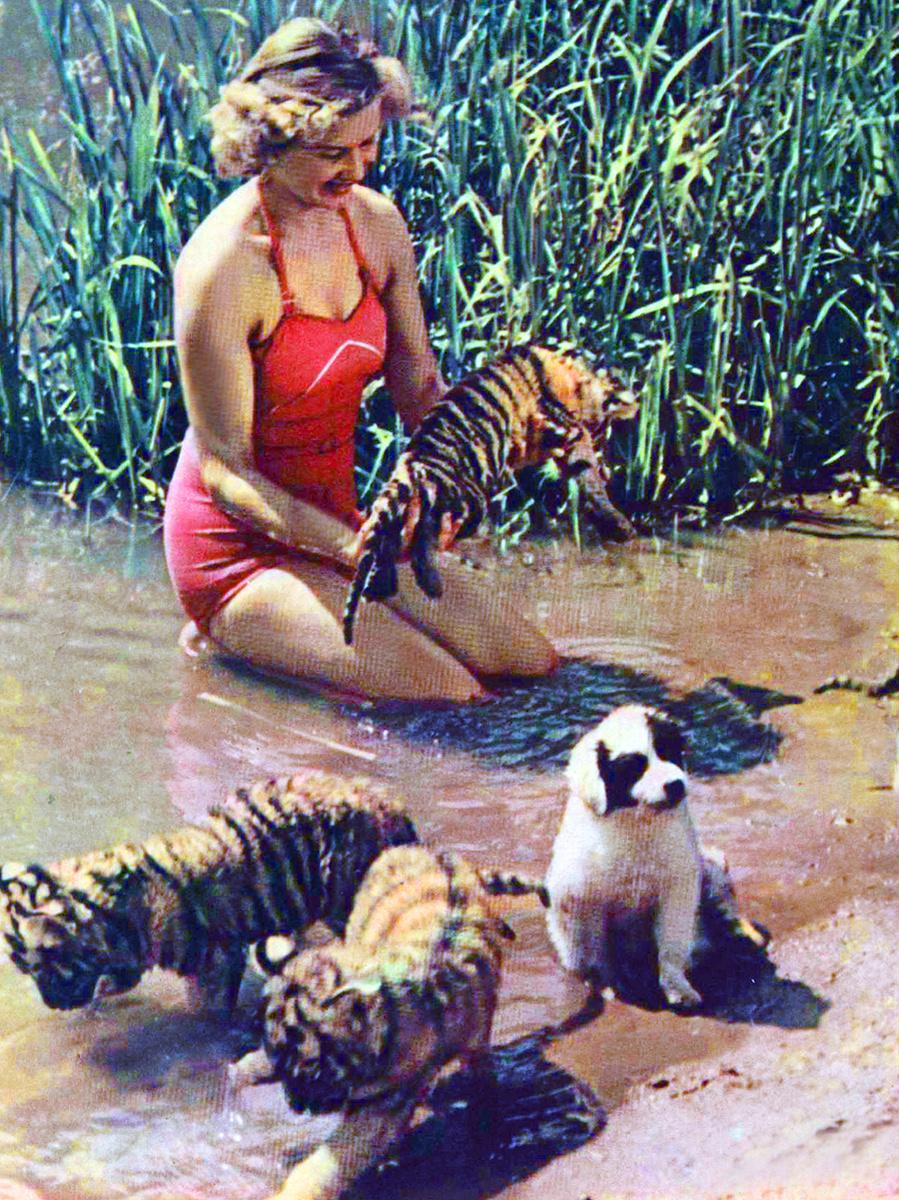 Дрессировщица с тигрятами, возможно Маргарита Назарова