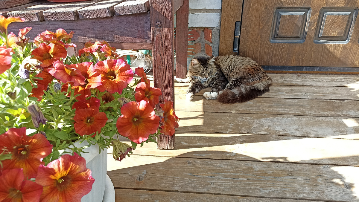 На крылечке так тепло!