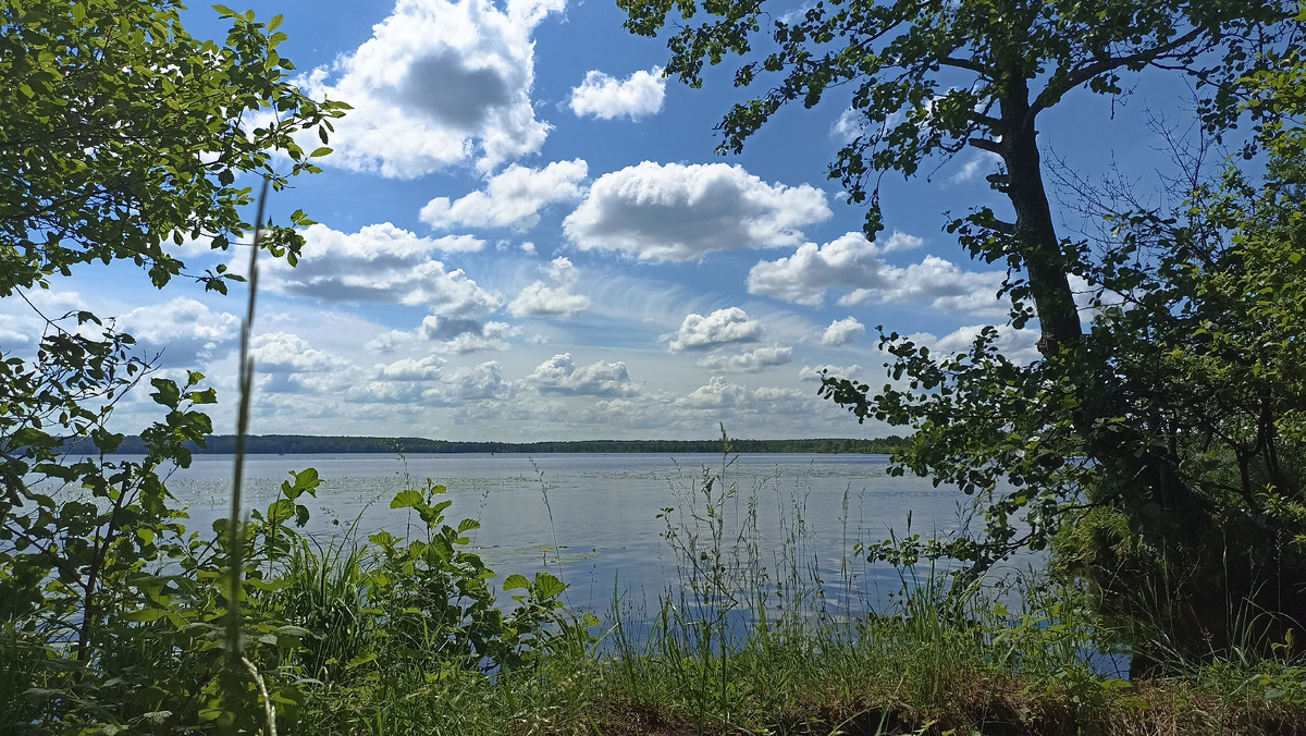 Мы не только в деревне сидели, но и в поездки выбирались :)