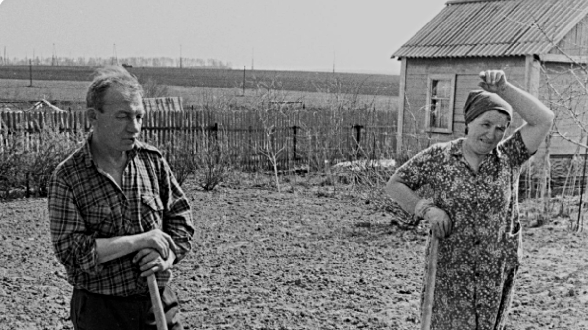 Фото из интернета