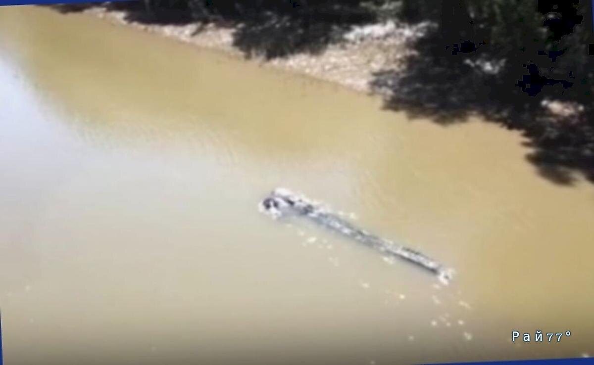   Фото - скриншот с видео, снятого на месте происшествия