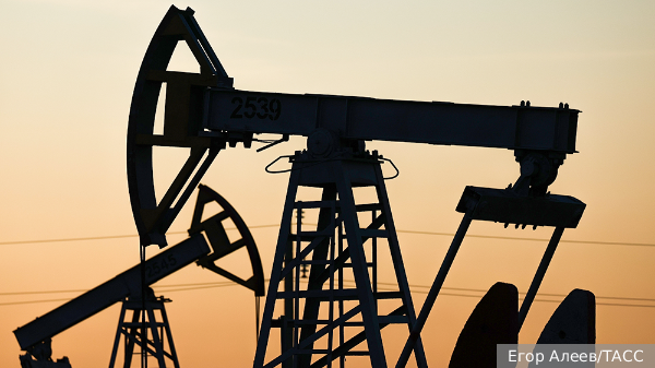     Фото: Егор Алеев/ТАСС   
 Текст: Андрей Резчиков