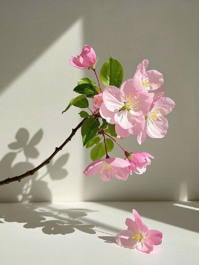 Нашла в интернете 