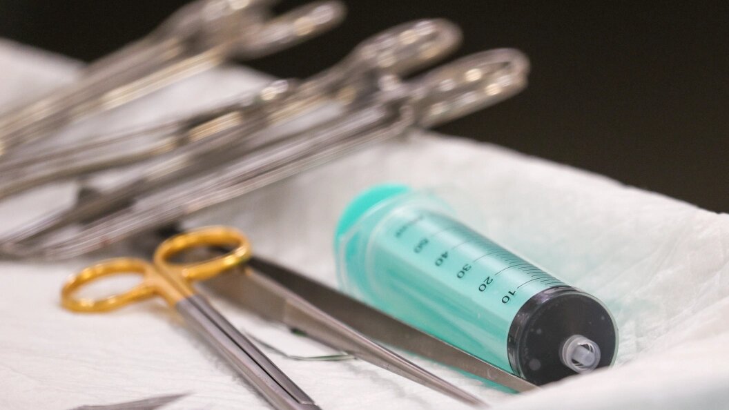    Фото: Belkin Alexey/Globallookpress