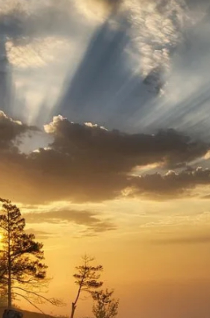 Фото из сети интернет.