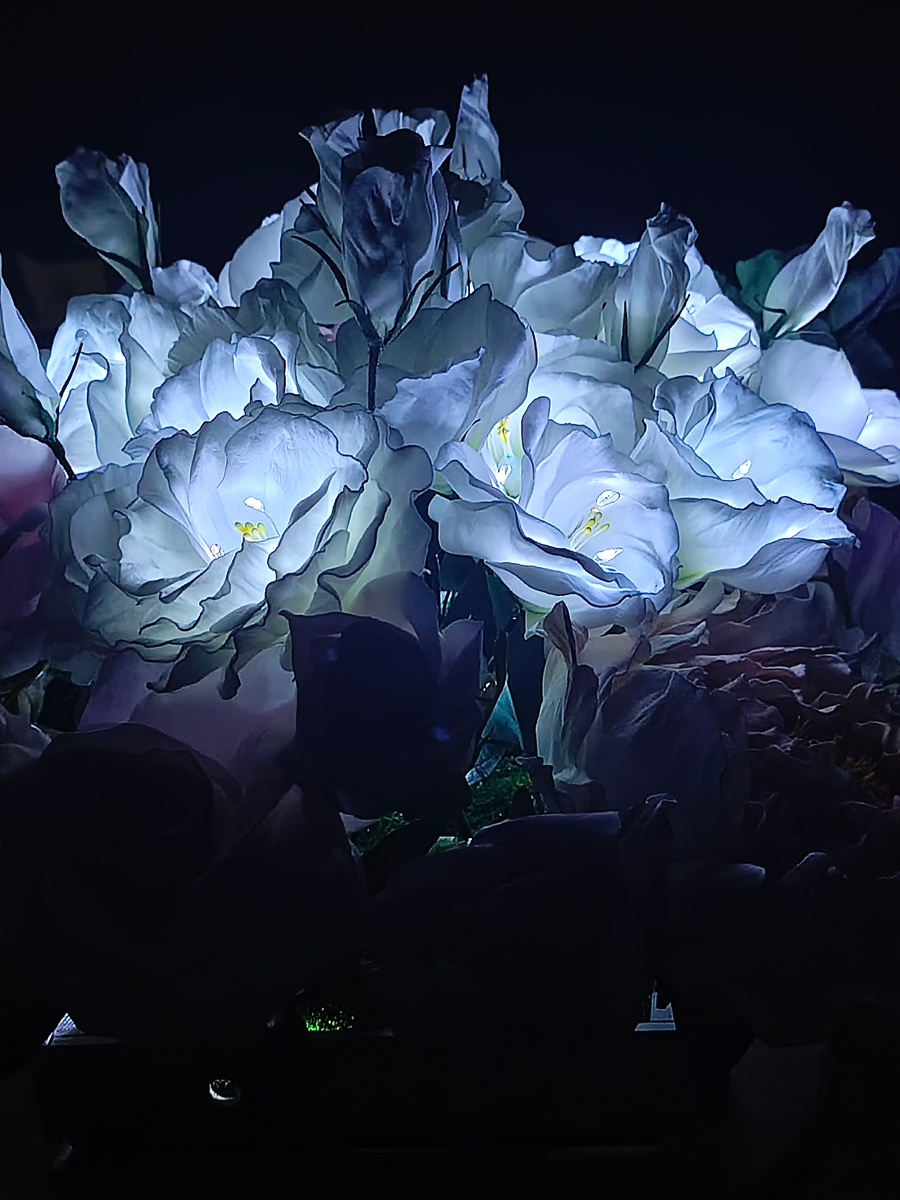 Композиция с подсветкой. Фотошопа нет. Фильтров тоже нет.