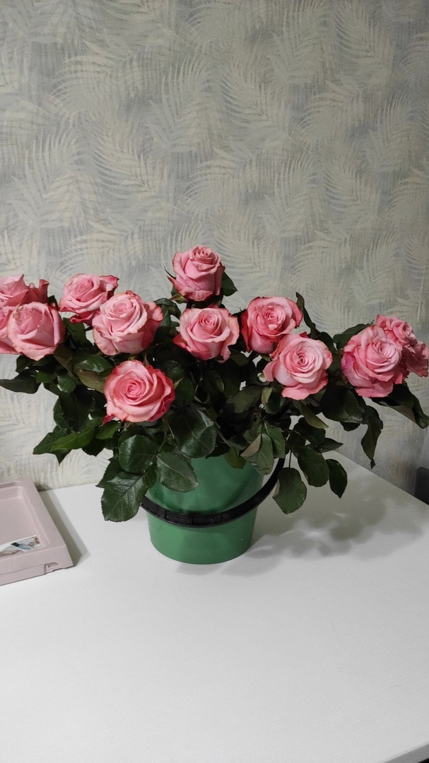 (фото из личного архива 23.01.2025г)