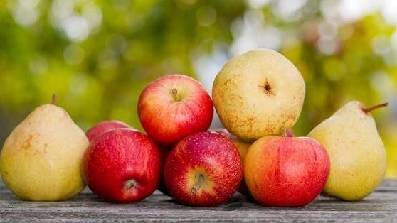 Фото с pinterest.com