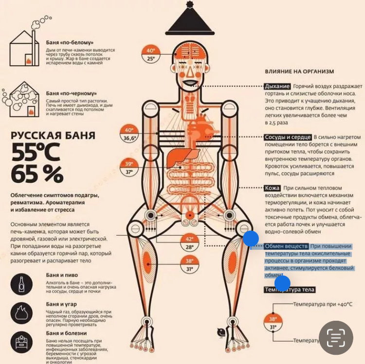 Польза бани Яндекс Картинки 