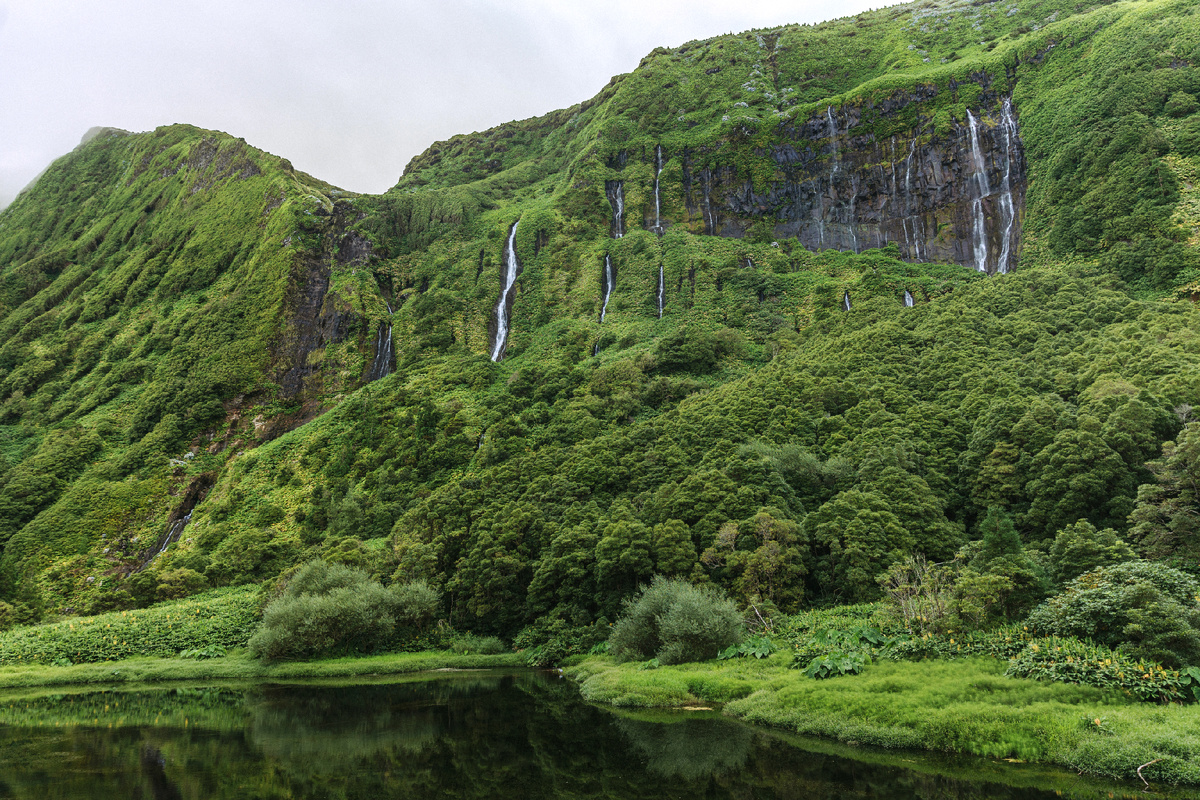 остров Флориш