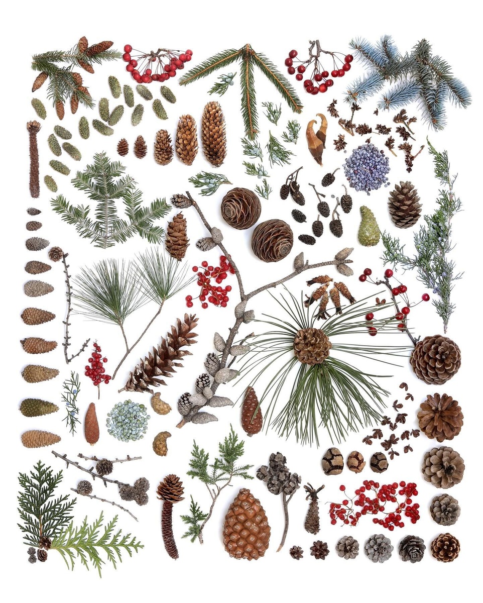 Автор: Mary Jo Hoffman