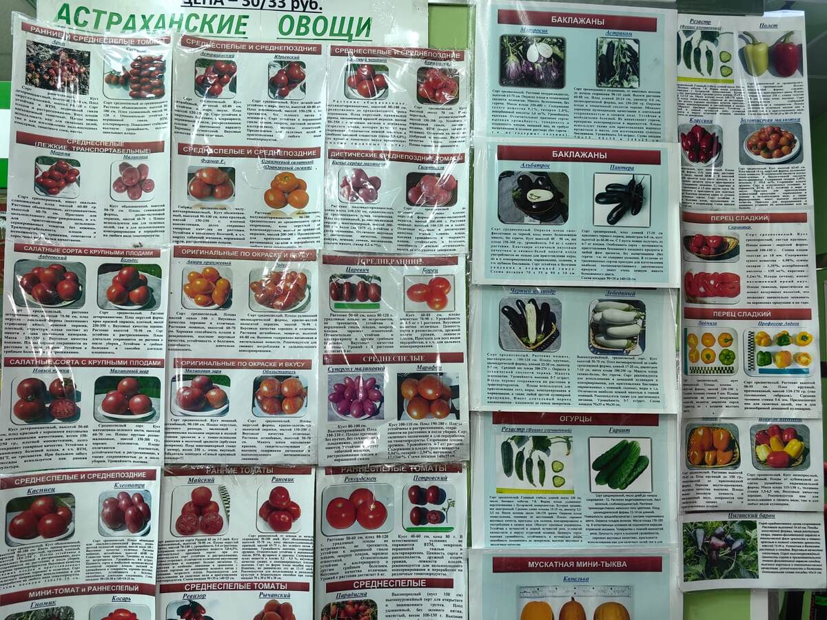 Семена для посадки. Фото Натальи Мироновой