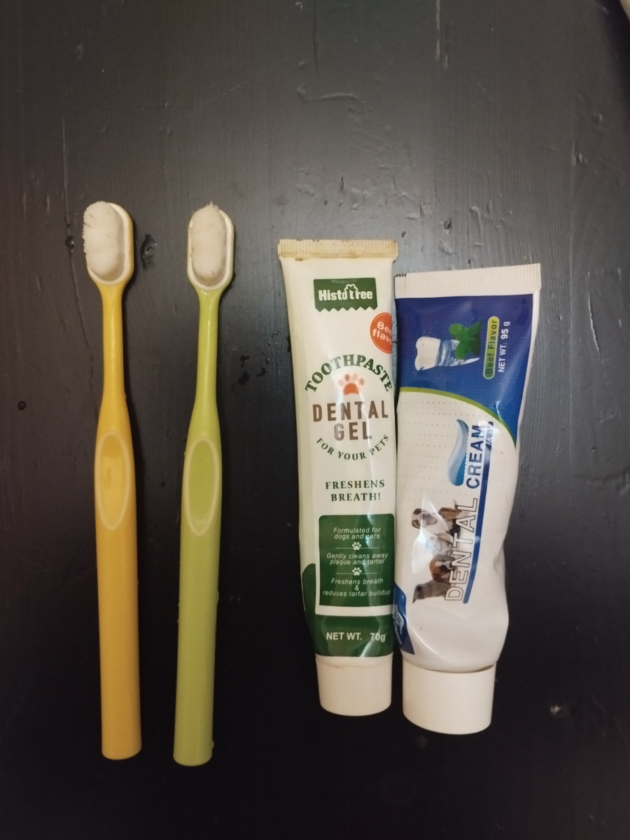 Зубные щётки мягкие и пасты для собак 