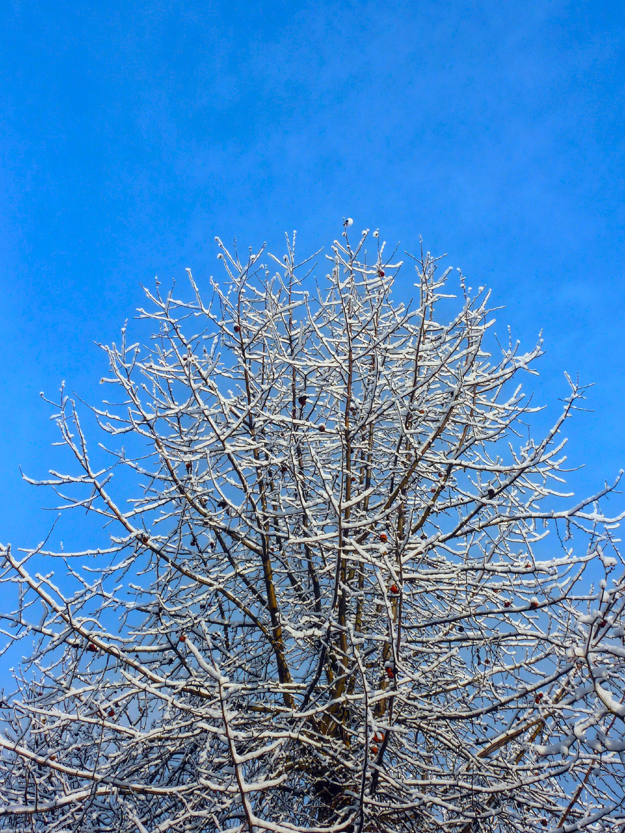 с применением фильтра