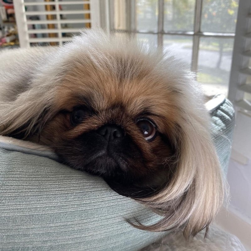 Из открытых источников. 