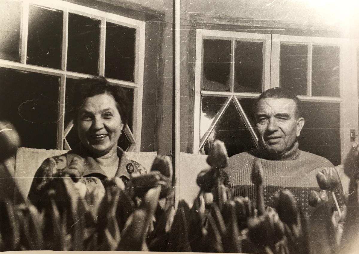 мои бабушка и дедушка с тюльпанами в начале марта