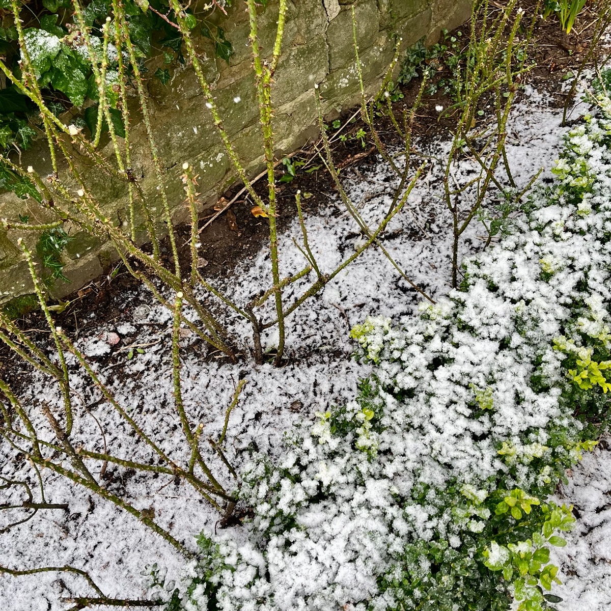 Типичная английская зима 