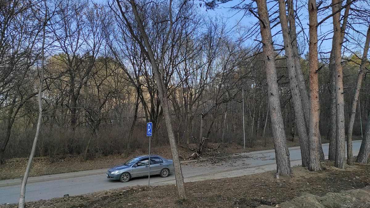Дерево упало на дорогу после порыва ветра в Кисловодске. Фото: Кирилл Полиенко/Polienko: путешествуем вдвоём