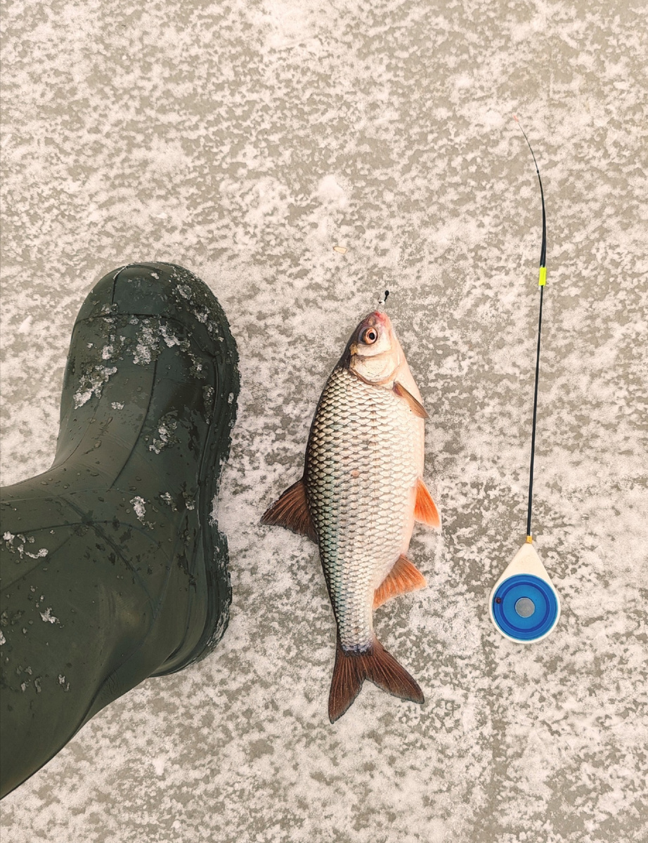 Фото присланное товарищем и соратником.