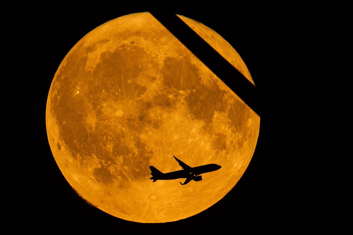     / Источник: © IMAGO/Rainer Keuenhof/Global Look Press