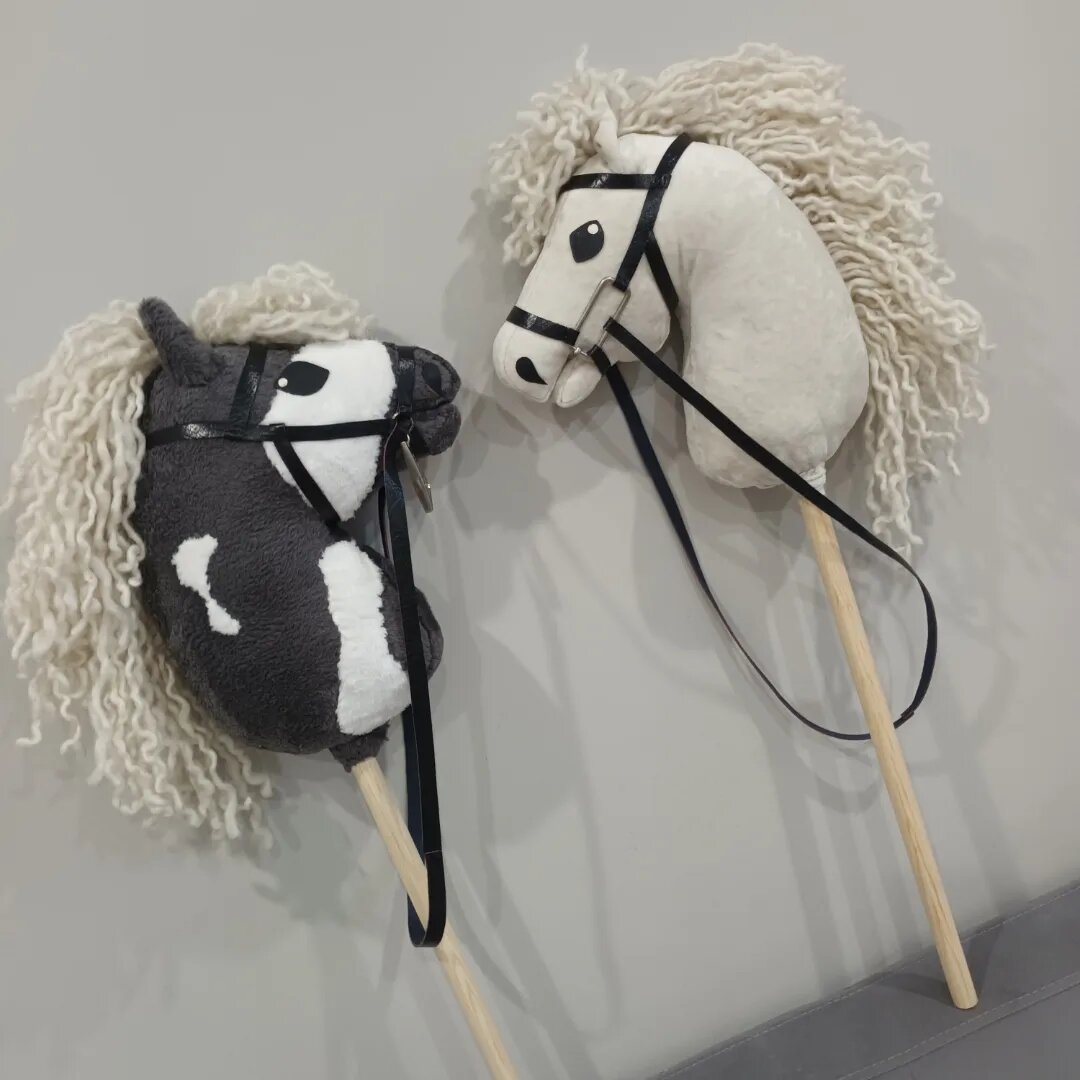 Мои работы, хорсы, хобихорсинг.