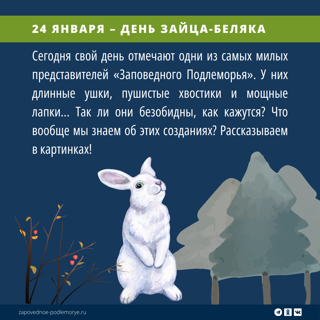 Листайте галерею, чтобы увидеть все факты. 