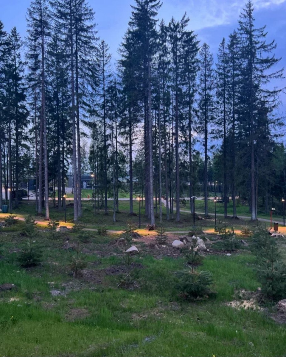 Фото: Анна Глумина, сервис Яндекс Путешествия