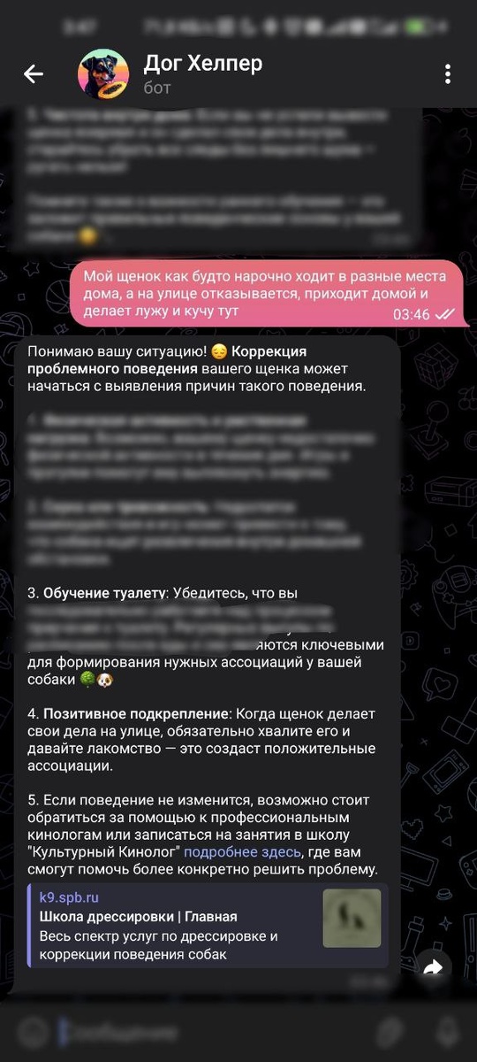 Умный помощник "Дог Хелпер" отвечает на вопрос