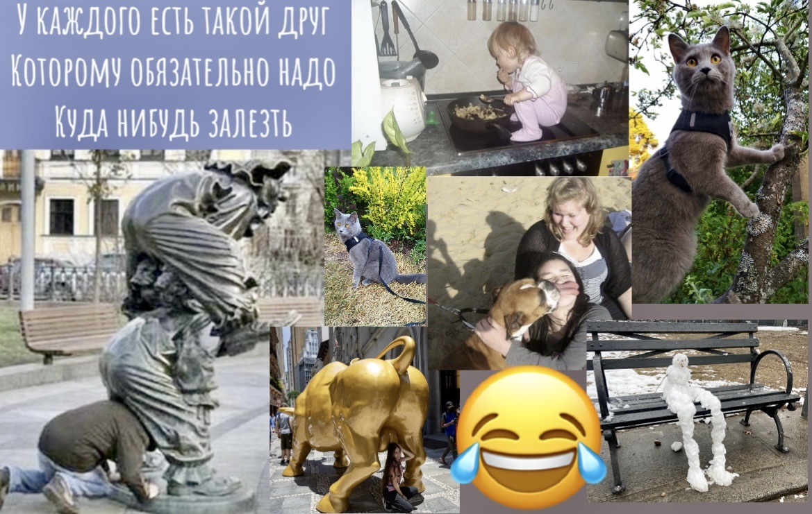 УЛЫБНУЛО😂Смеялась до слёз. Эти 17 забавных фотографий насмешат вас до упаду: весело не грустно