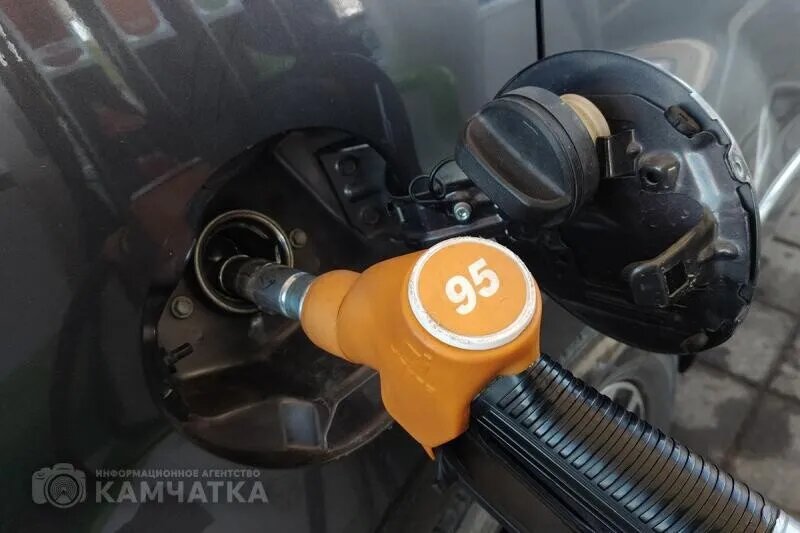 Фото: ИА «Камчатка»