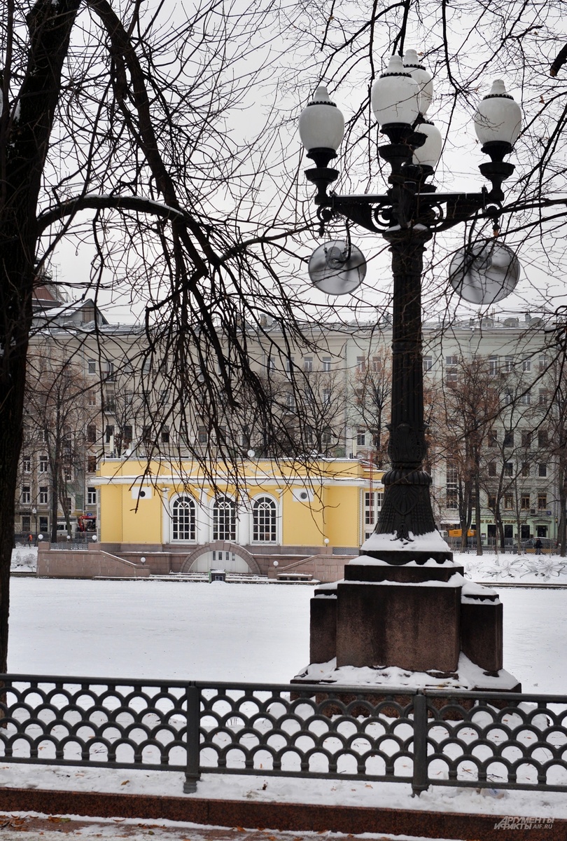    Фото:  АиФ/ Эдуард Кудрявицкий